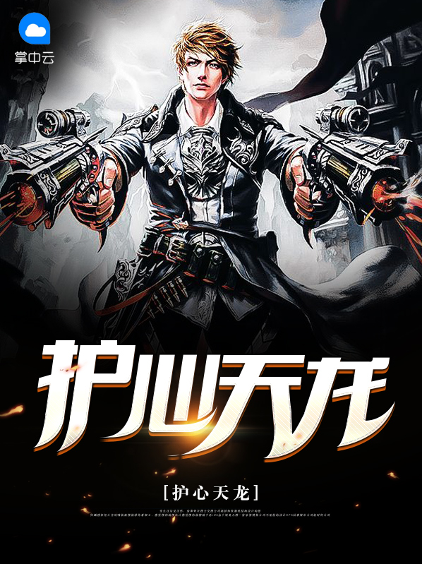 护心天龙