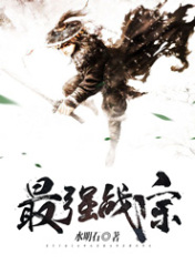 最强战宗