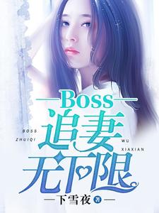 boss追妻无下限在线阅读