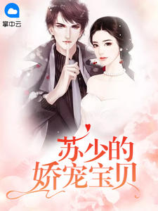 蘇少的嬌寵寶貝小說封面圖