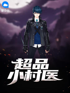 超品小村医