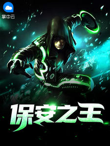 保安之王