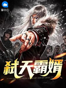 弑天霸婿在线阅读