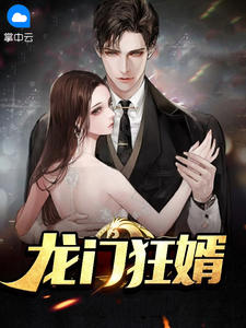 龙门狂婿在线阅读