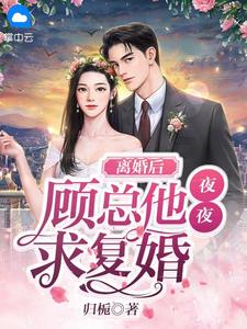 小说《离婚后，顾总他夜夜求复婚》全文免费阅读-锤石文学