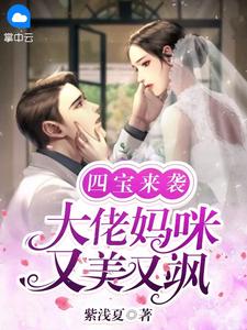 小说《四宝来袭：大佬妈咪又美又飒》全文免费阅读-锤石文学