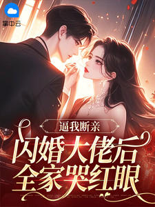 关于陆知意 傅时砚的内容在哪本小说里?