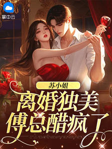 苏沫 傅屹川的故事在什么小说中?
